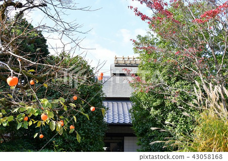 秋天的城市景觀詩Izumikaku 秋天的城市景觀詩Izumikaku 43058168