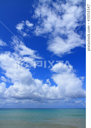 Sea of Japan in summer　 43058347