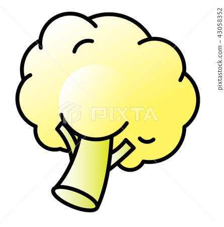 Cauliflower illustration 43058352