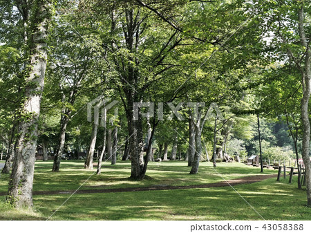 北海道·支笏湖·廣場周邊 43058388