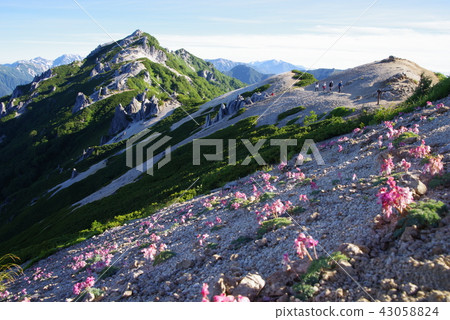 山的夏天 山的夏天 43058824