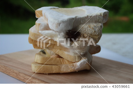 Whole-wheat bread expired, spoiled and rotten. Whole-wheat bread expired, spoiled and rotten. 43059661