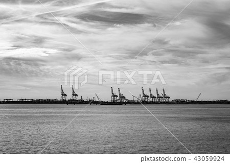 Container cranes in Staten Island Container cranes in Staten Island 43059924