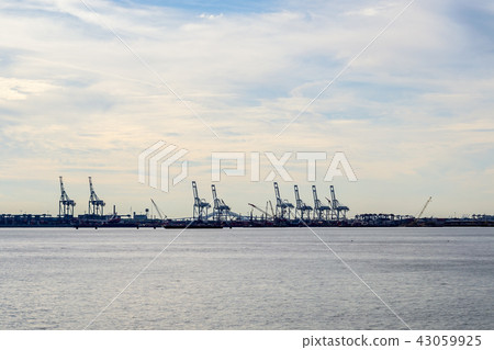 Container cranes in Staten Island Container cranes in Staten Island 43059925
