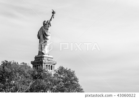 Statue of Liberty in NYC 43060022