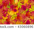 Autumn image, Autumn leaves, Autumn leaves, Maple leaves, Autumn leaves, Autumn, Autumn, Season, Background image, Autumn background, Autumn 43060896