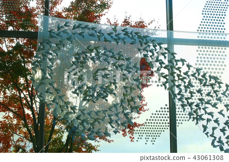 秋天的作品! 秋天的作品! 43061308