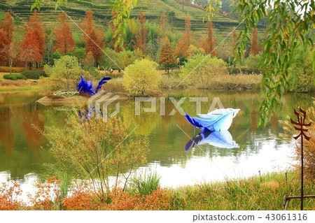 秋天的作品! 秋天的作品! 43061316