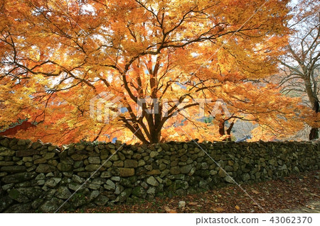 Autumn in the mountainside! Autumn in the mountainside! 43062370