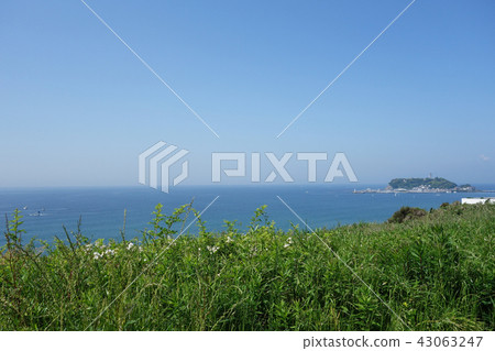 The sea seen from the hill in front of Kamakura High School The sea seen from the hill in front of Kamakura High School 43063247