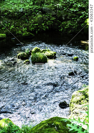 Three minutes one spring spring _ Yamanashi Three minutes one spring spring _ Yamanashi 43063347