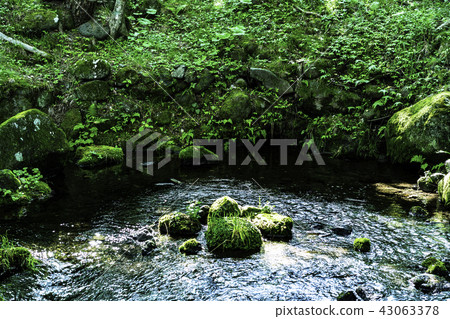 Three minutes one spring spring _ Yamanashi 43063378