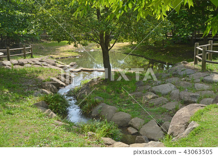 合併紀念紀念公園公園Omiya-ku，埼玉縣 43063505