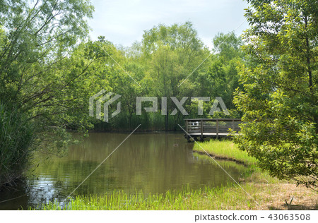 合併紀念紀念公園公園Omiya-ku,埼玉縣 合併紀念紀念公園公園Omiya-ku,埼玉縣 43063508