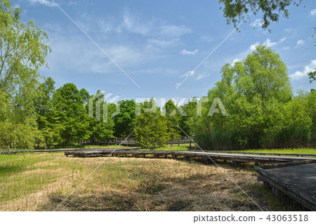 Merger Memorial Memorial Park Park Omiya-ku, Saitama 43063518