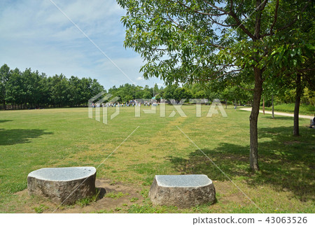 合併紀念紀念公園公園Omiya-ku,埼玉縣 合併紀念紀念公園公園Omiya-ku,埼玉縣 43063526