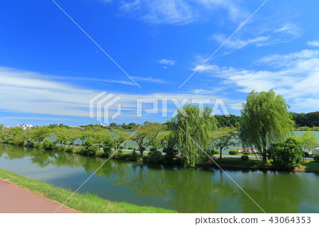 Lake Senba (Kairakuen) 43064353