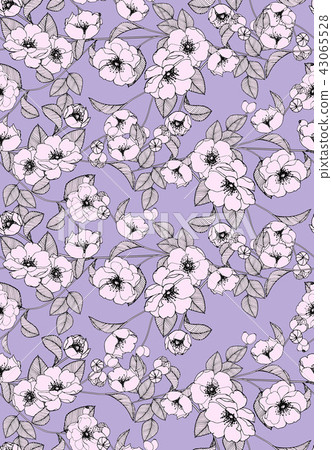 抽象的無縫菊花花卉集合 43065528