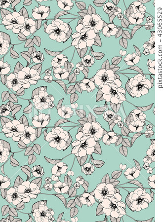 抽象的無縫菊花花卉集合 43065529