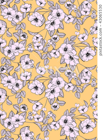 抽象的無縫菊花花卉集合 抽象的無縫菊花花卉集合 43065530