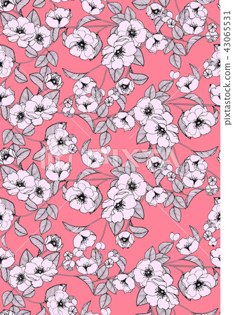 抽象的無縫菊花花卉集合 43065531