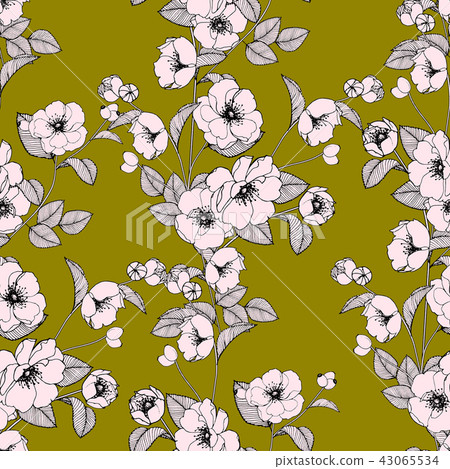抽象的無縫菊花花卉集合 43065534
