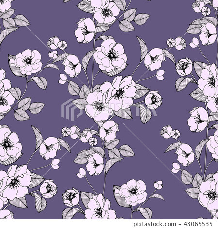 抽象的無縫菊花花卉集合 43065535