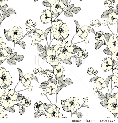 Abstract seamless chrysanthemum floral collection Abstract seamless chrysanthemum floral collection 43065537
