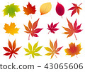 Maple leaf illustration, Maple leaves, Autumn image, Fall leaves, Fall leaves 43065606