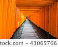 伏見稻荷神社Torigai 43065766