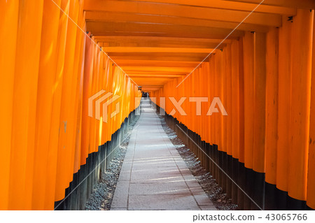 伏見稻荷神社Torigai 伏見稻荷神社Torigai 43065766