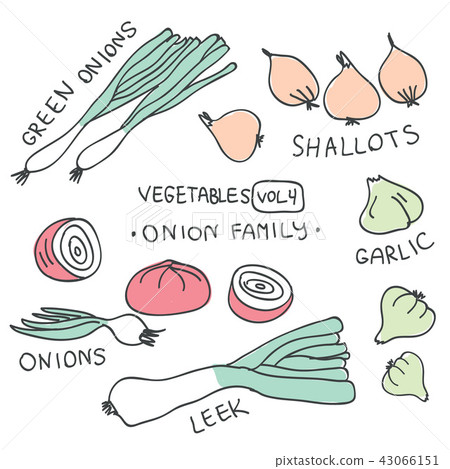 Set with hand drawn colorful doodle vegetables Set with hand drawn colorful doodle vegetables 43066151