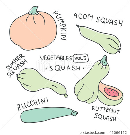 Set with hand drawn colorful doodle vegetables Set with hand drawn colorful doodle vegetables 43066152