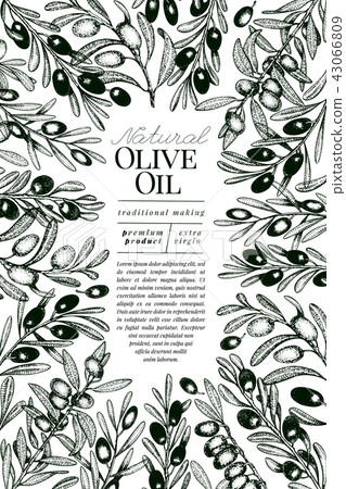Olive Tree Banner Template Vector Vintage Stock Illustration