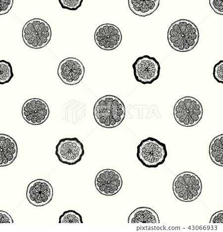 Citrus fruits seamless pattern. Hand drawn vector fruit illustration. Engraved style. Vintage citrus Citrus fruits seamless pattern. Hand drawn vector fruit illustration. Engraved style. Vintage citrus 43066933