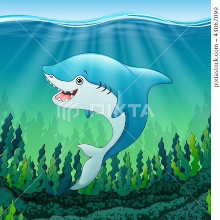 White shark cartoon underwater White shark cartoon underwater 43067099