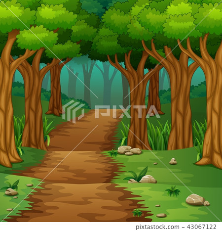 Forest scene with dirt road Forest scene with dirt road 43067122