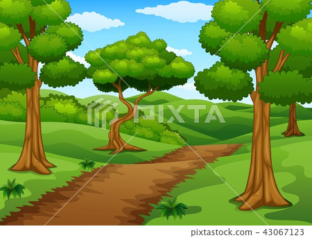 Forest scene with dirt trail 43067123