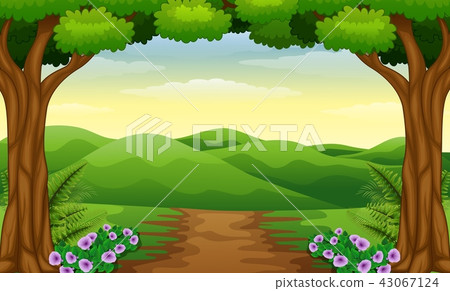 Hills view with dirt path in the forest 43067124