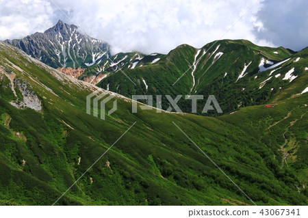 Northern Alps Unzenohei Mountains from the grandfathers mountain peaks Wakui-dake, Sanmata Renkaku dake, Yumigatake, Shikoku-cho Samadamadoso 43067341