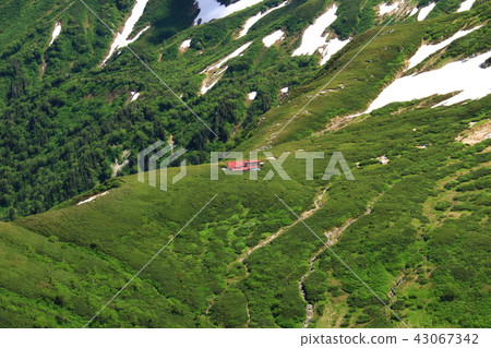 Northern Alps Unzenhei grandfather Mountain from the top of Sanremata Sanso 43067342
