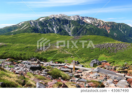 Northern Alps Unzenaira Japan Walking through the last unexplored area Yakushiro dake over the wood road Landscape 43067490