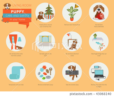 Puppy care and safety in your home. Living room Puppy care and safety in your home. Living room 43068140
