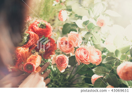 花生活花店 照片素材 圖片 圖庫