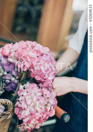 花生活花店 照片素材 圖片 圖庫