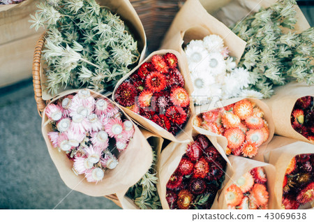 Flower living flower shop Flower living flower shop 43069638