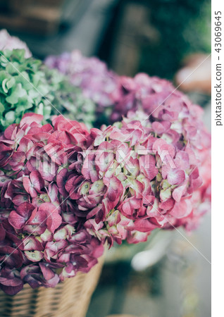 花生活花店 花生活花店 43069645