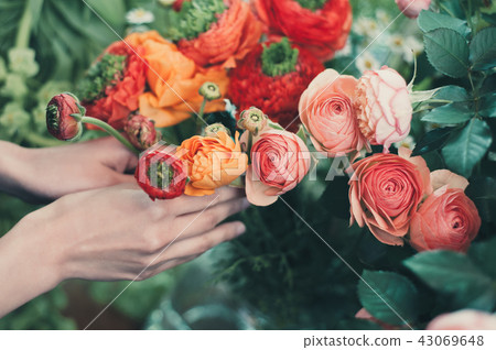 Flower living flower shop Flower living flower shop 43069648