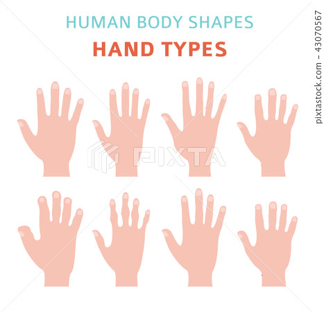 Human body shapes_hands_1 - Stock Illustration [43070567] - PIXTA