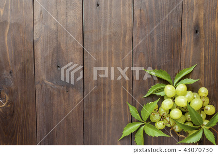 Bunch of white grapes on the background Bunch of white grapes on the background 43070730